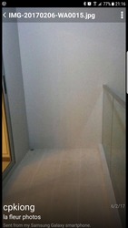 La Fleur (D14), Apartment #166362892